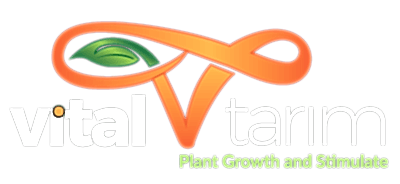 Vital Tarım